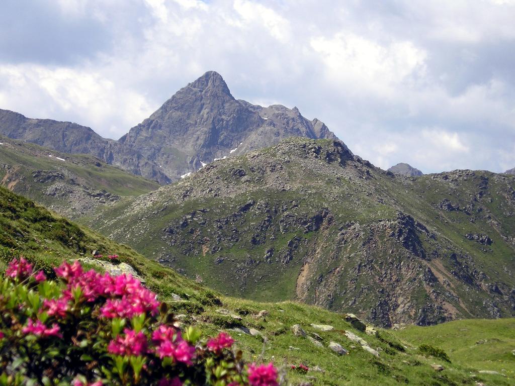 Pension Stoffler Sankt Veit in Defereggen Buitenkant foto